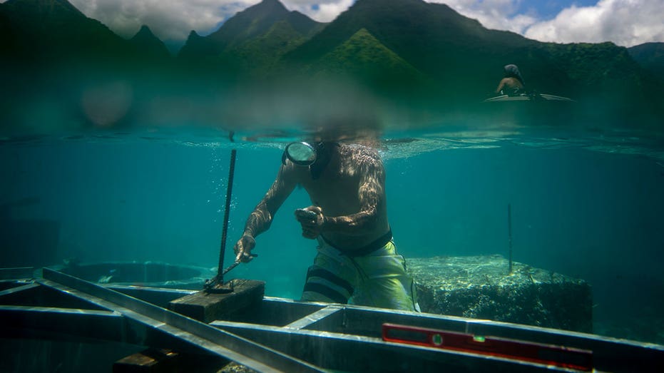 Tahiti faces unprecedented challenges as hundreds set to descend on island for Olympic surfing