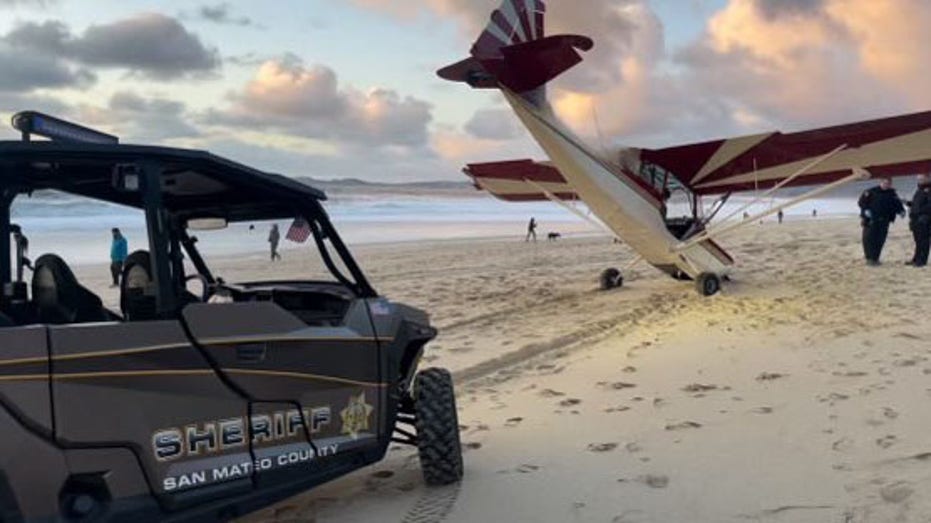 Police arrest man charged with stealing plane, crashing it on California beach