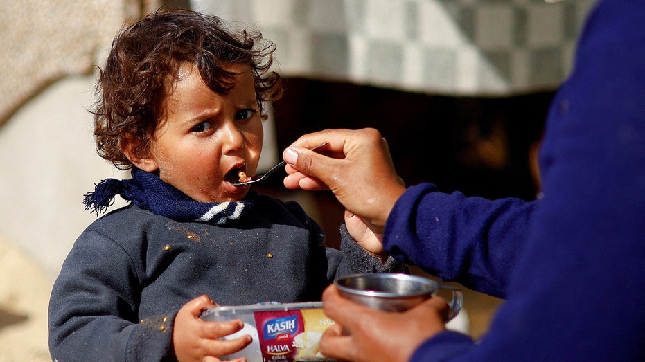 UN food agency temporarily halts deliveries to northern Gaza, says decision was not 'taken lightly'