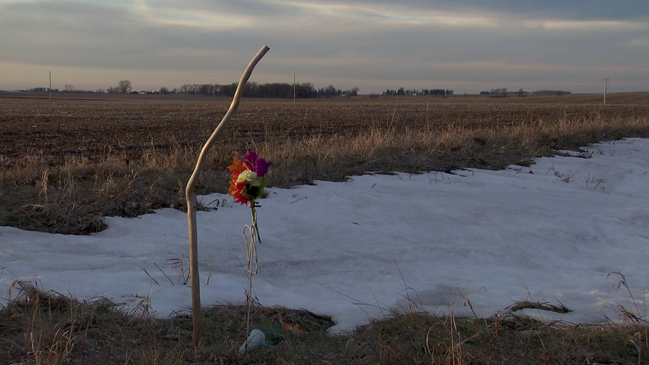 Twin allegedly tried to take blame for sister after fatal Amish buggy crash in Minnesota