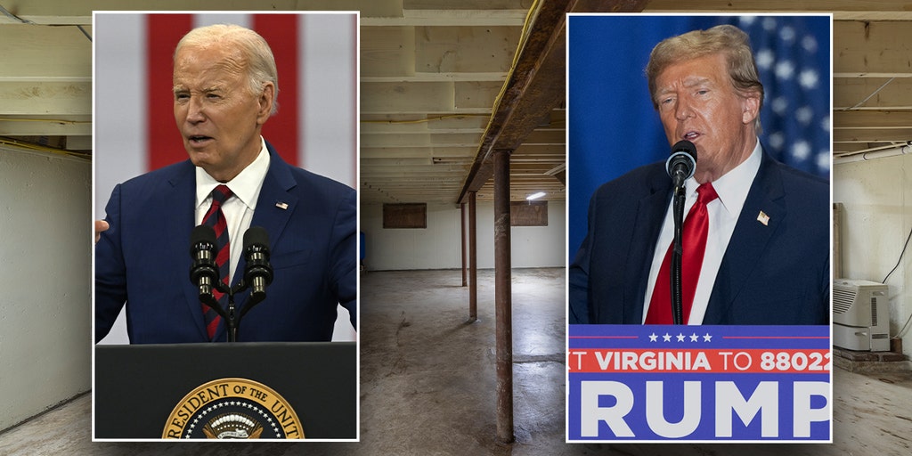 Biden team seeks to pin 'basement' campaign reputation on Trump - Vimarsana News