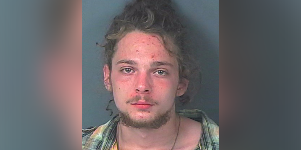 Florida man arrested after allegedly attacking roommate with machete - Vimarsana News
