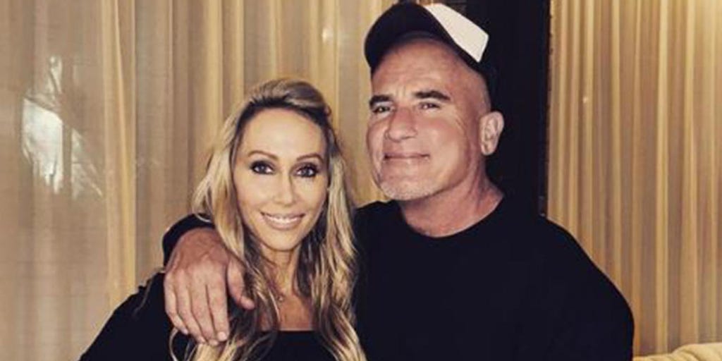 Tish Cyrus having 'issues' with husband Dominic Purcell amid reports he dated daughter Noah before marriage - Vimarsana News