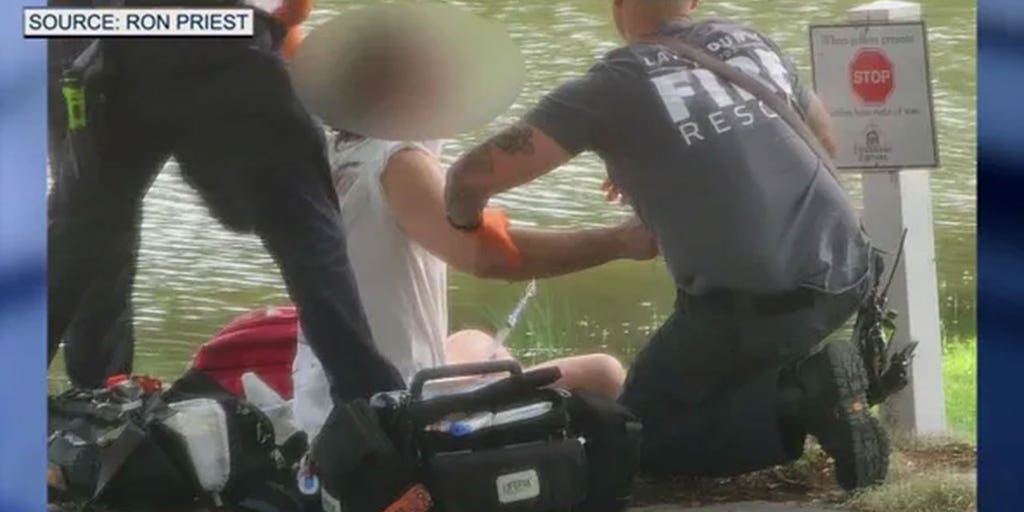 Fisherman hospitalized after giant alligator bites off his hand in Florida pond - Vimarsana News