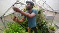 Marcus Bridgewater tends to his backyard herbs and flower garden, Thursday, March 14, 2024, in Spring, Texas. The TikTok content creator speaks with The Associated on how TikTok has transformed his life and the adverse effect a TikTok ban in the U.S. will have on his online space for gardening. (