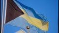 Photographed here is the Bahamian flag.