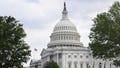 Senate Republicans might survive the blue thunderstorm. Uh, I think. - Fox News