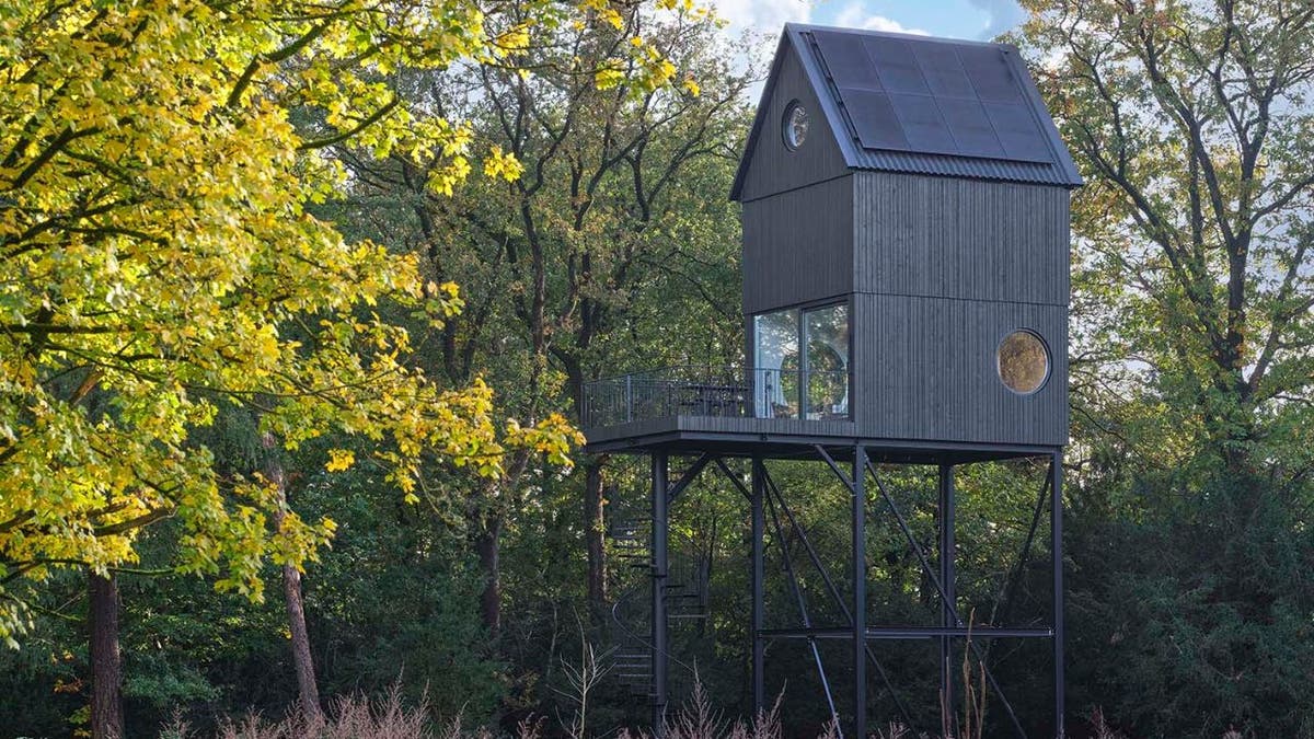 birdhouse cabin 1 
