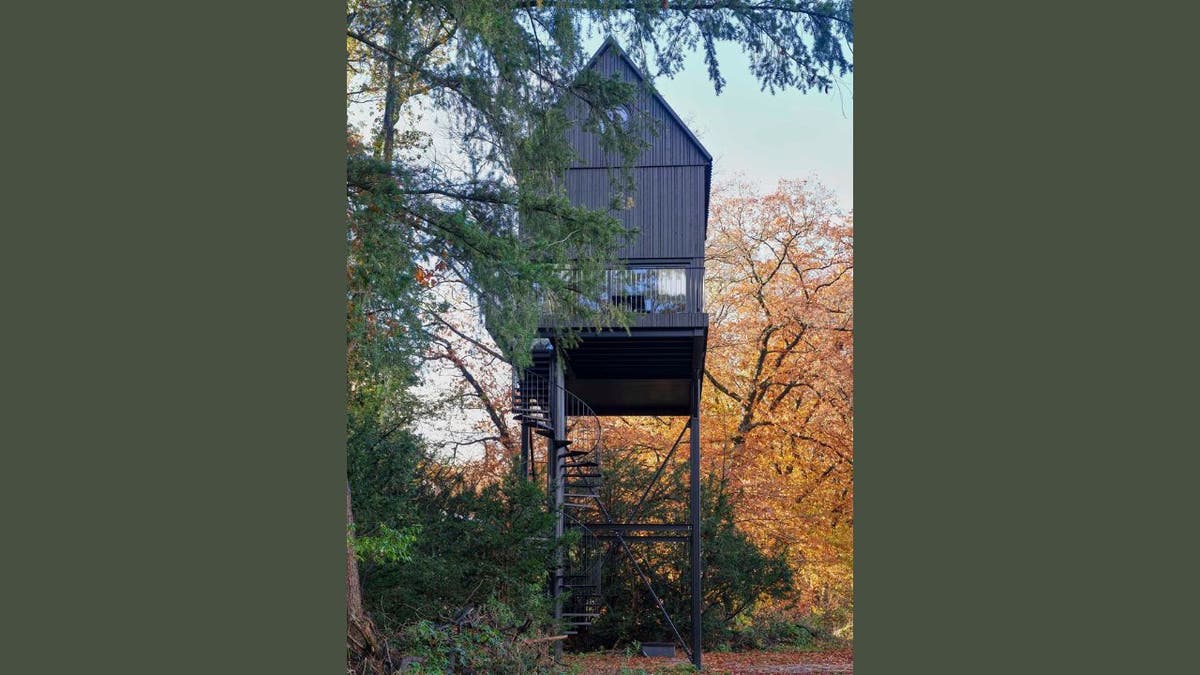 birdhouse cabin 5