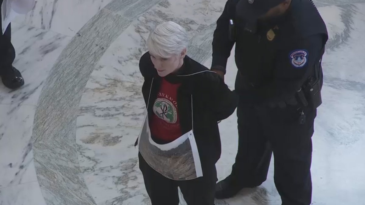Protester arrested by Capitol Hill Police officer