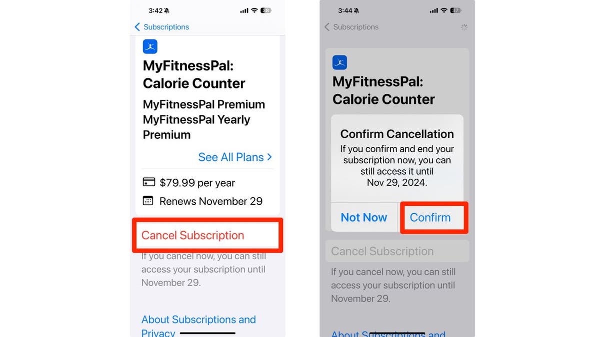 6 Easy Steps to Save Money by Cancel Unused or Unwanted Subscriptions on iPhone