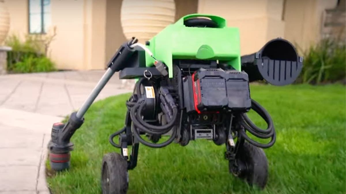 AI robot that can trim, edge, blow your lawn for you