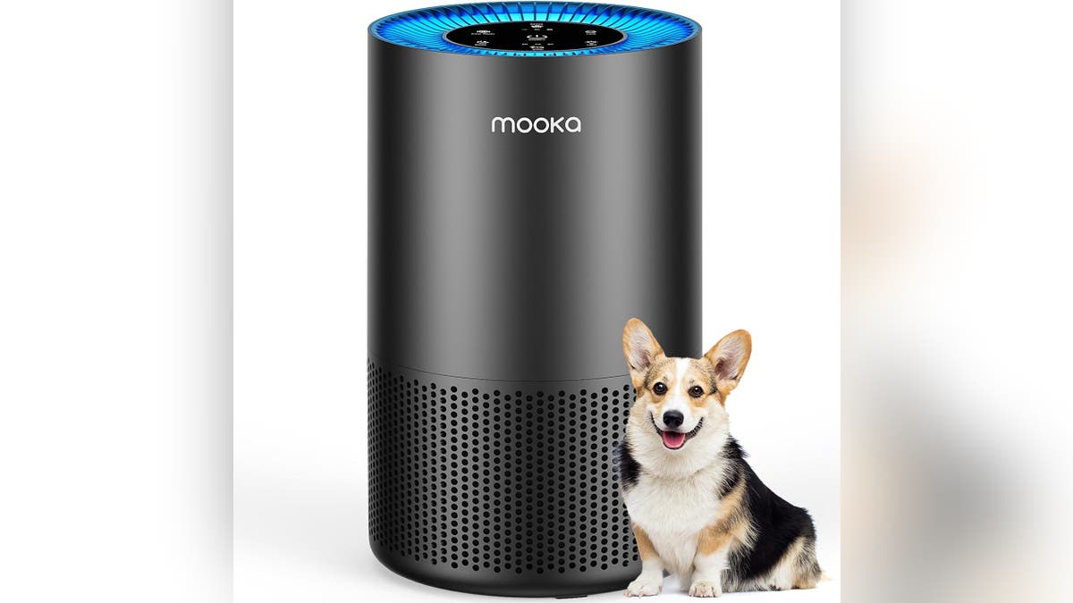 The MOOKA air purifier keeps pet dander and hair out of the air. 