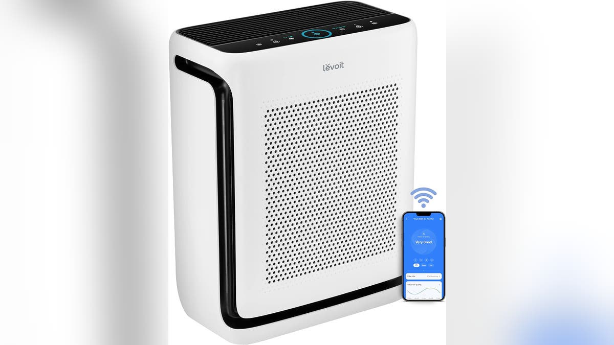 This powerful air purifier can clean the air in your entire home. 