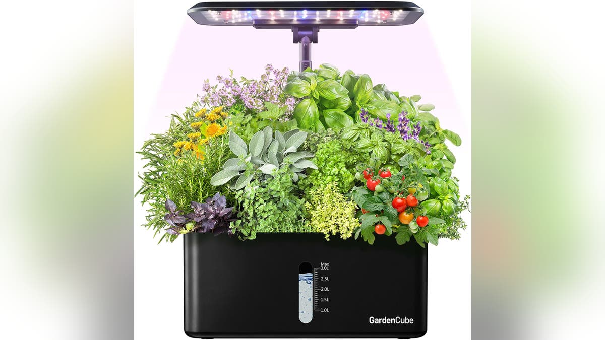 Grow your plants inside with this hydroponic grow system. 