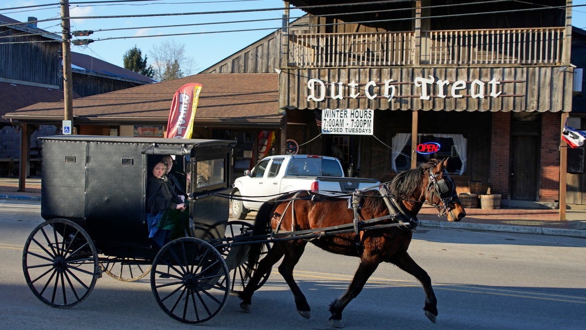 An Amish carriage in Spartanburg, Pennsylvania