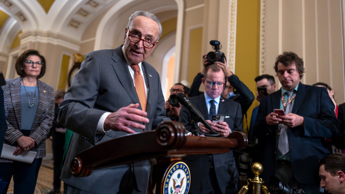 Sen. Chuck Schumer in Capitol holding news conference