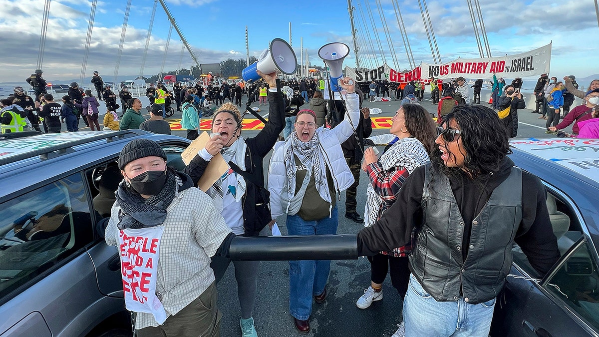 Protesters on the bridge