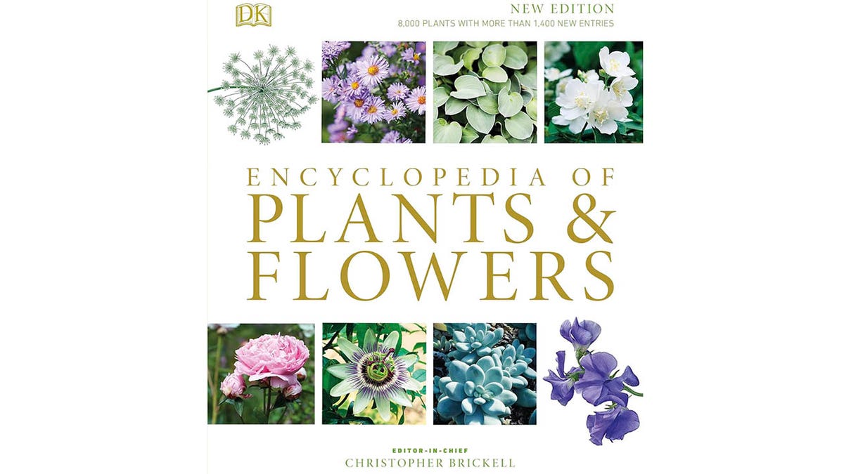 Amazon plant encyclopedia