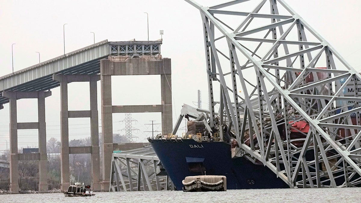 Baltimore Bridge Collapse: 56 Containers With Hazardous Materials On ...