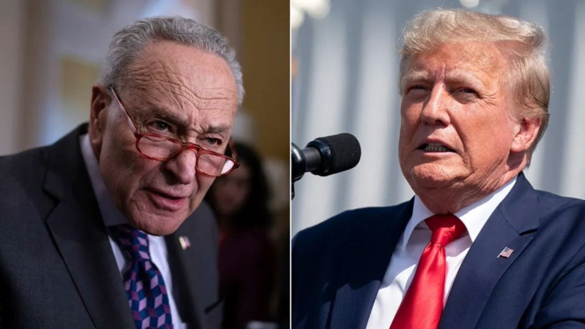 Trump condemns ‘brainwashed’ anti-Israel mob as NYPD moves in, dings Dems: ‘Where is Schumer?’