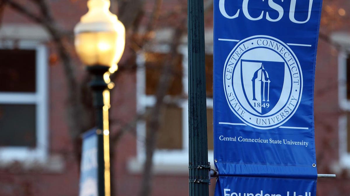 Central Connecticut State University flag