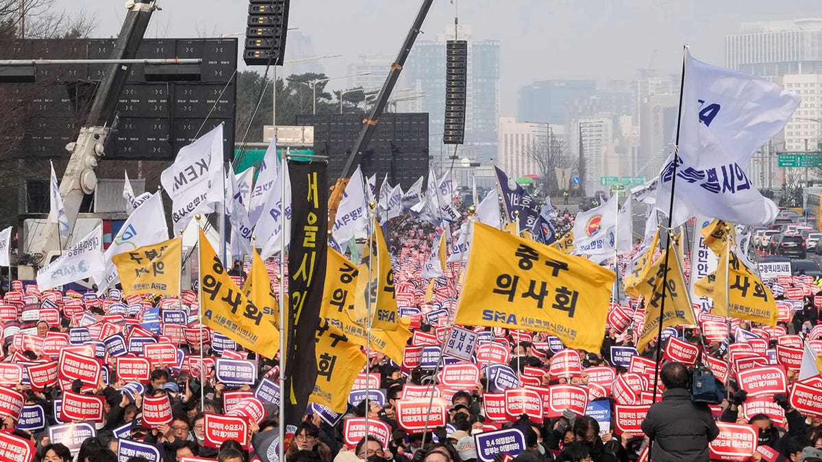 Doctors rally in South Korea