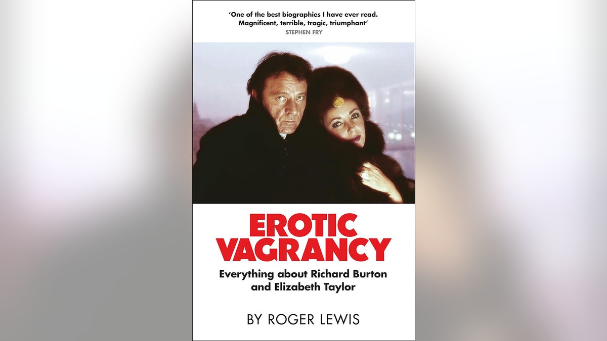 Book cover for Erotic Vagrancy