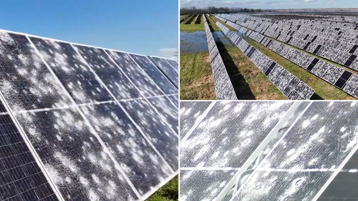 Solar panels destroyed by a March 15 hail storm.