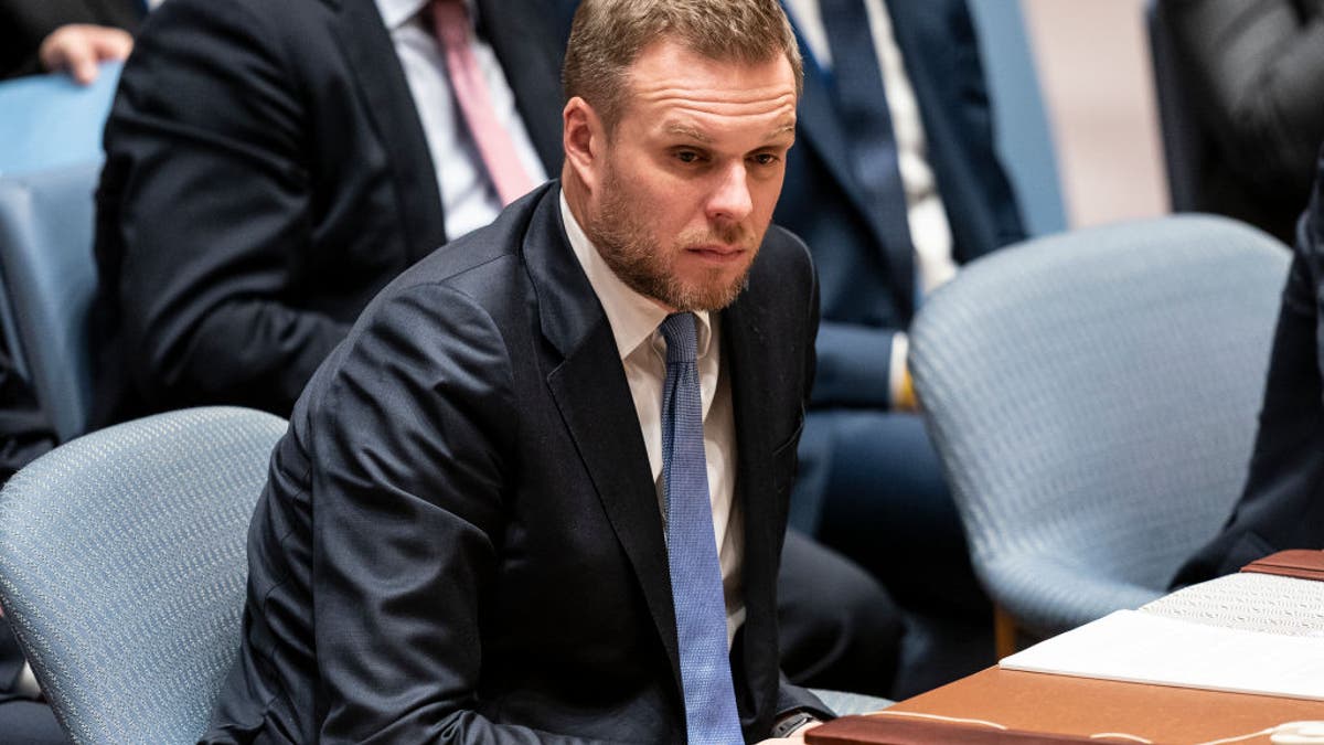 Lithuanian FM at UN Security Council in New York.