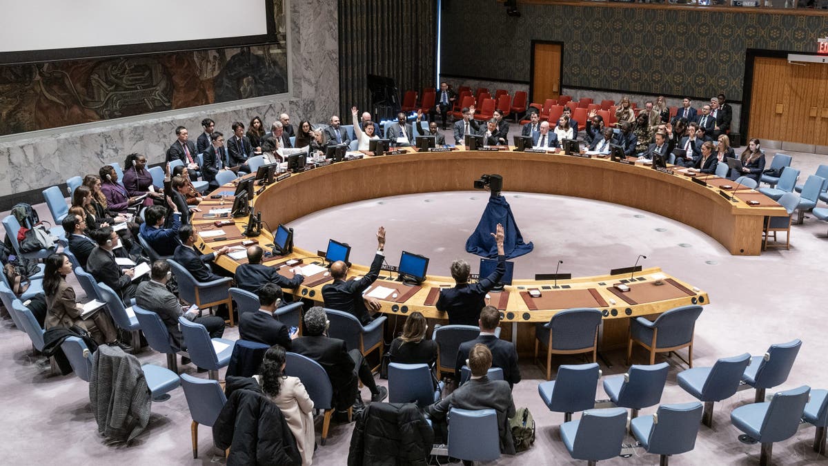 United Nations Security Council