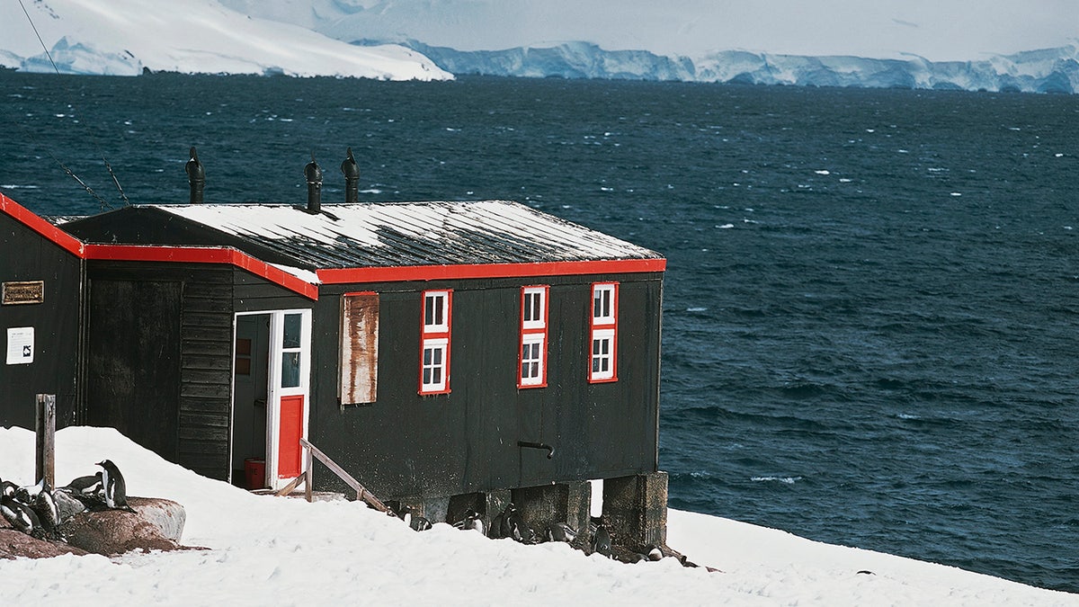 port lockroy building 