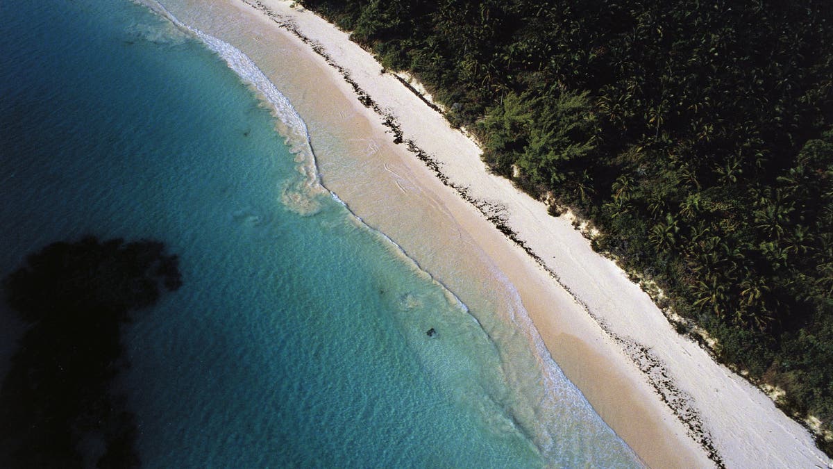 harbour island beach