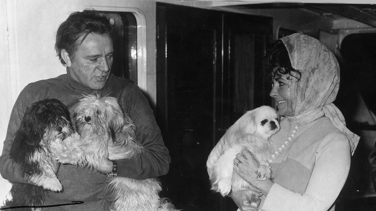 Richard Burton and Elizabeth Taylor holding onto their dogs