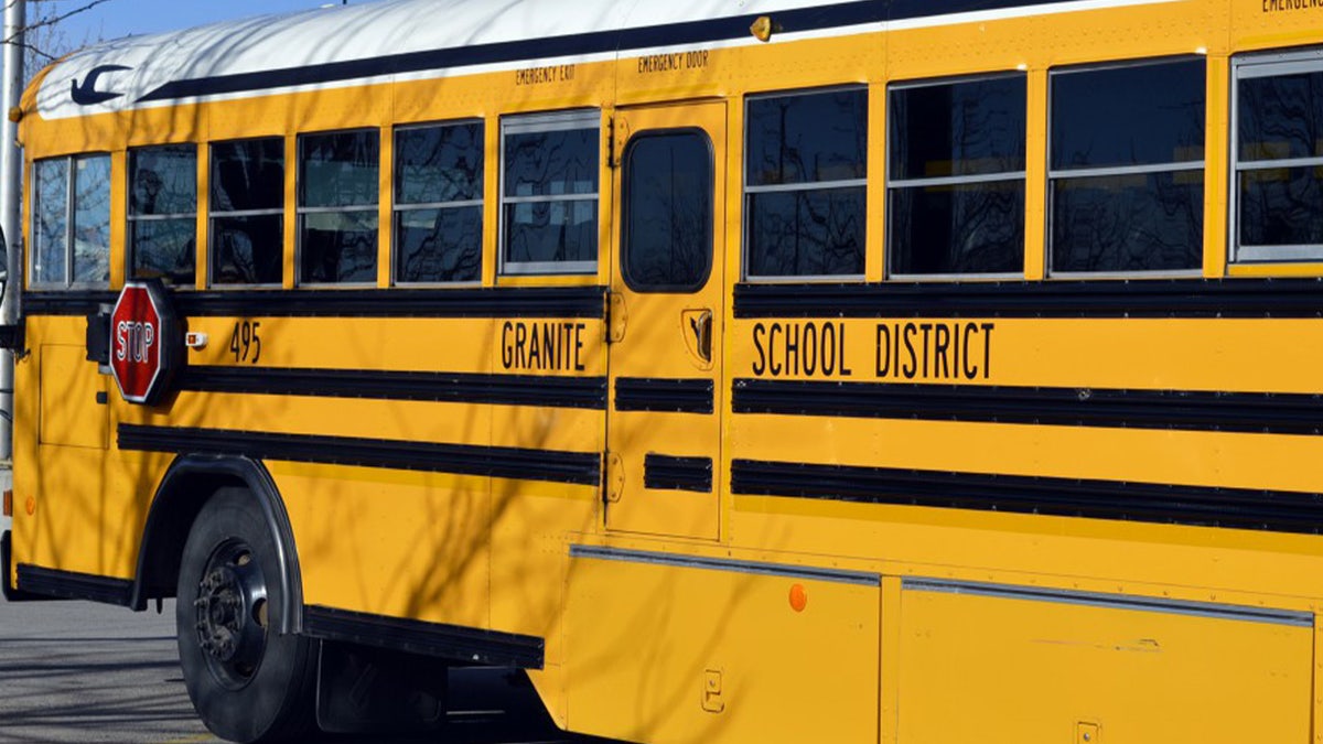 school autobus  closeup shot