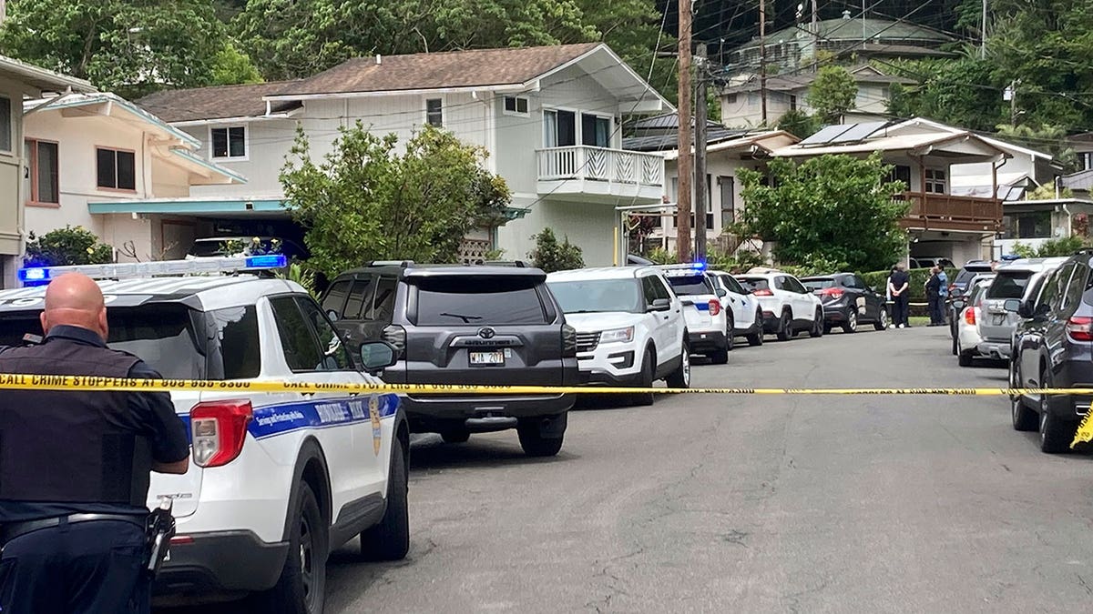 Honolulu murder-suicide