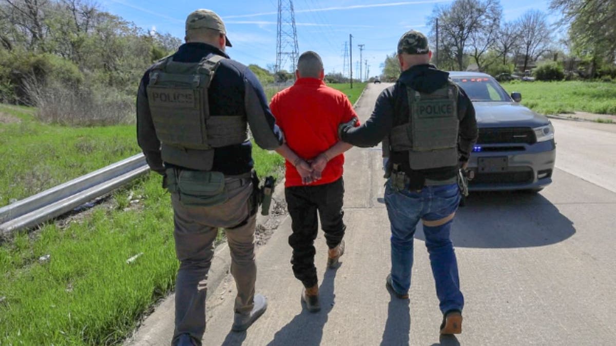 ICE agents arrest an illegal immigrant