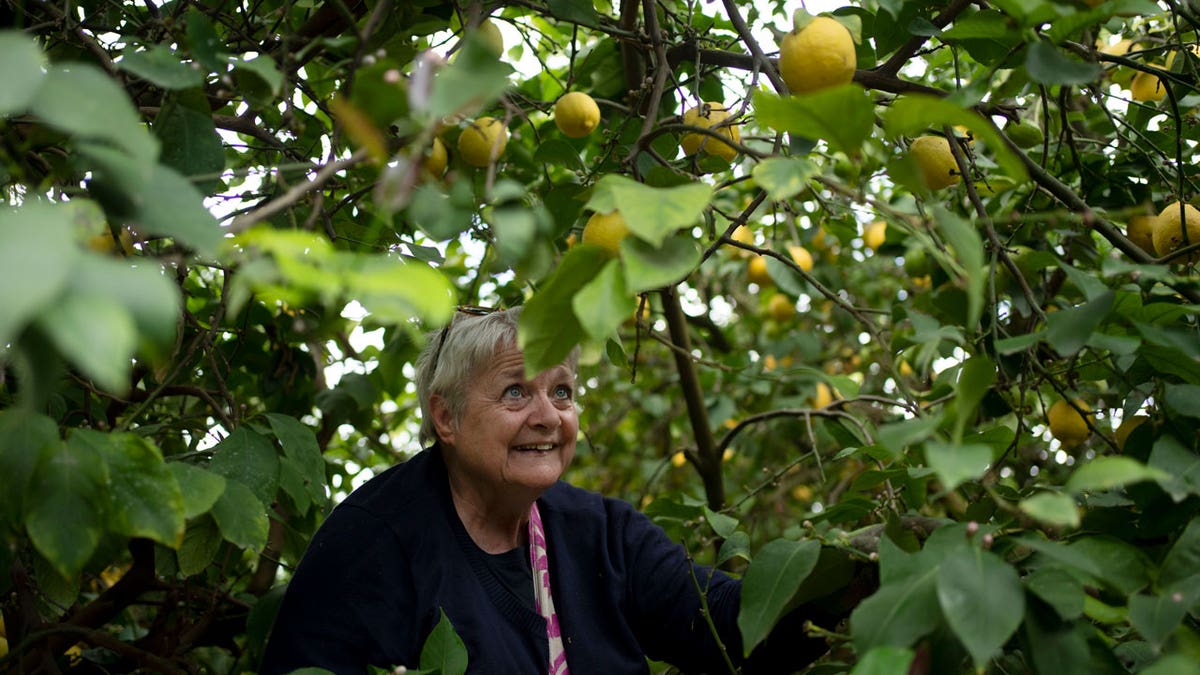 Evangelical Christians, longtime Israel supporters, visit as wartime ...