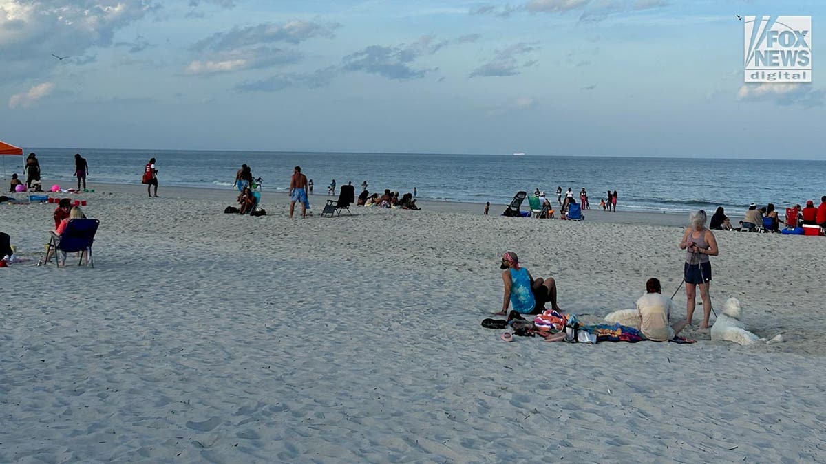 beachgoers sitting on beach