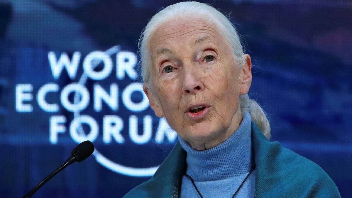 Jane Goodall