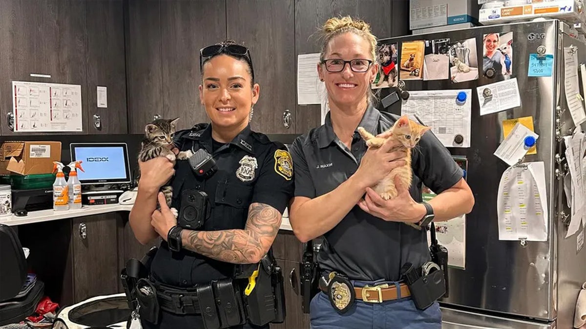 Police with kittens