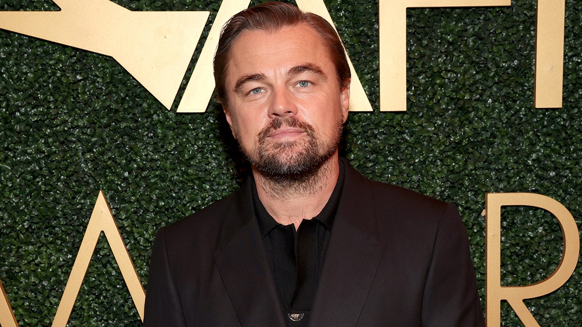 Leonardo DiCaprio at the AFI Awards