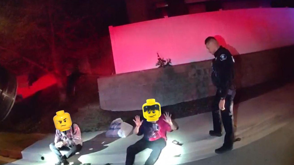California police department uses Legos to obscure faces of nonviolent  suspects