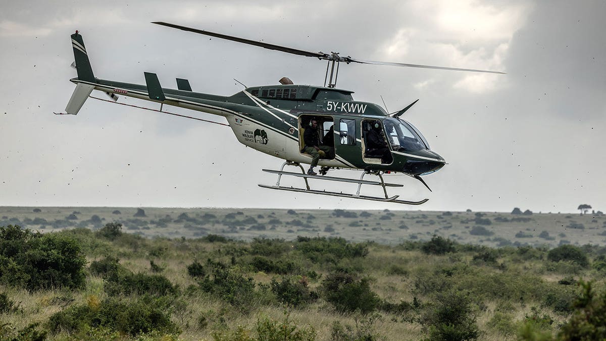 Helicopter