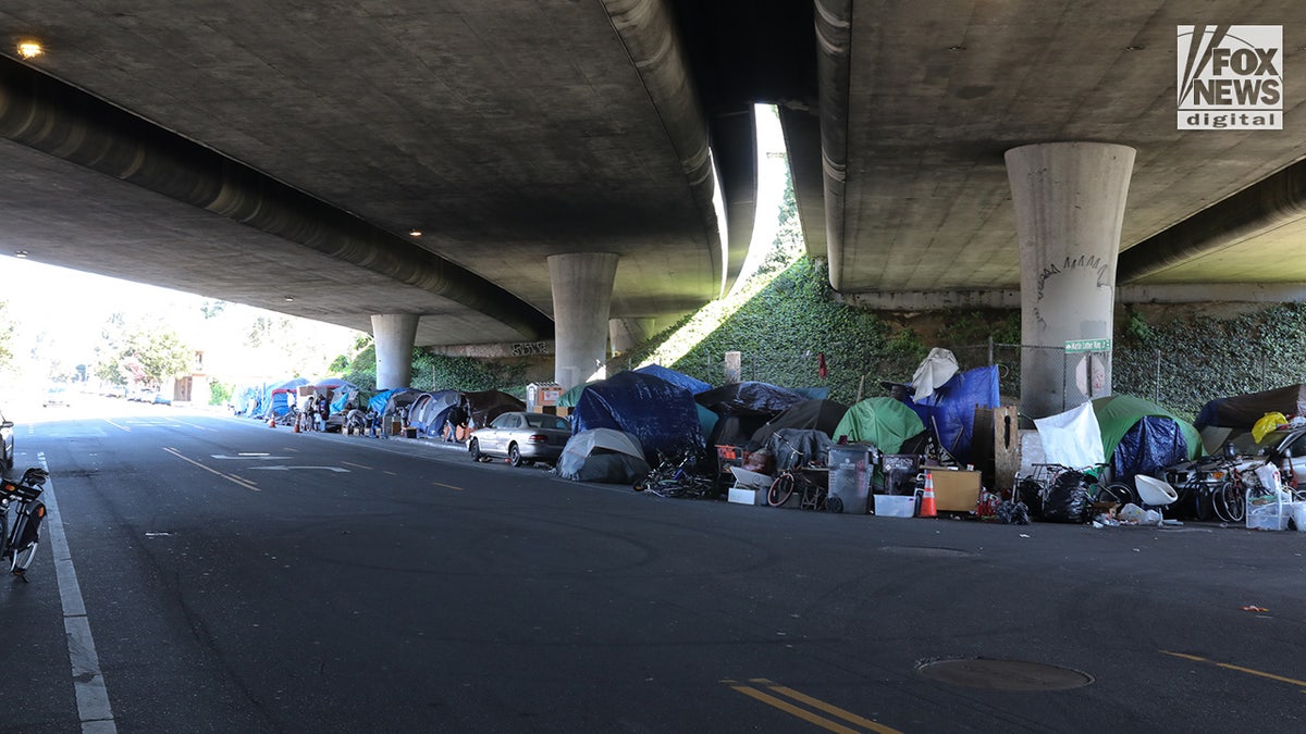 Homeless encampments line the streets in Oakland, California