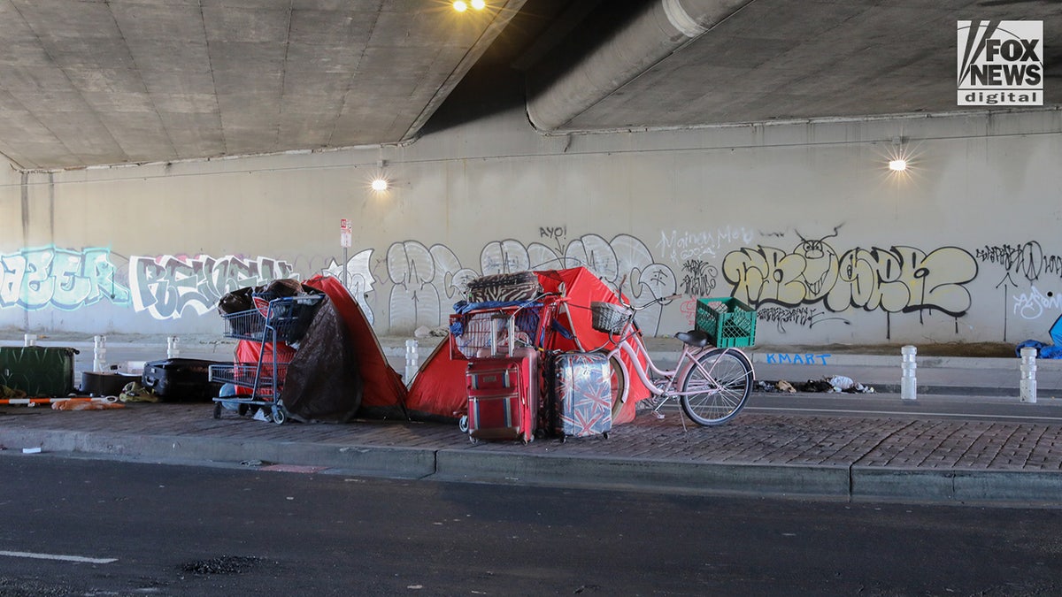 Homeless encampments statement nan streets successful Oakland, California