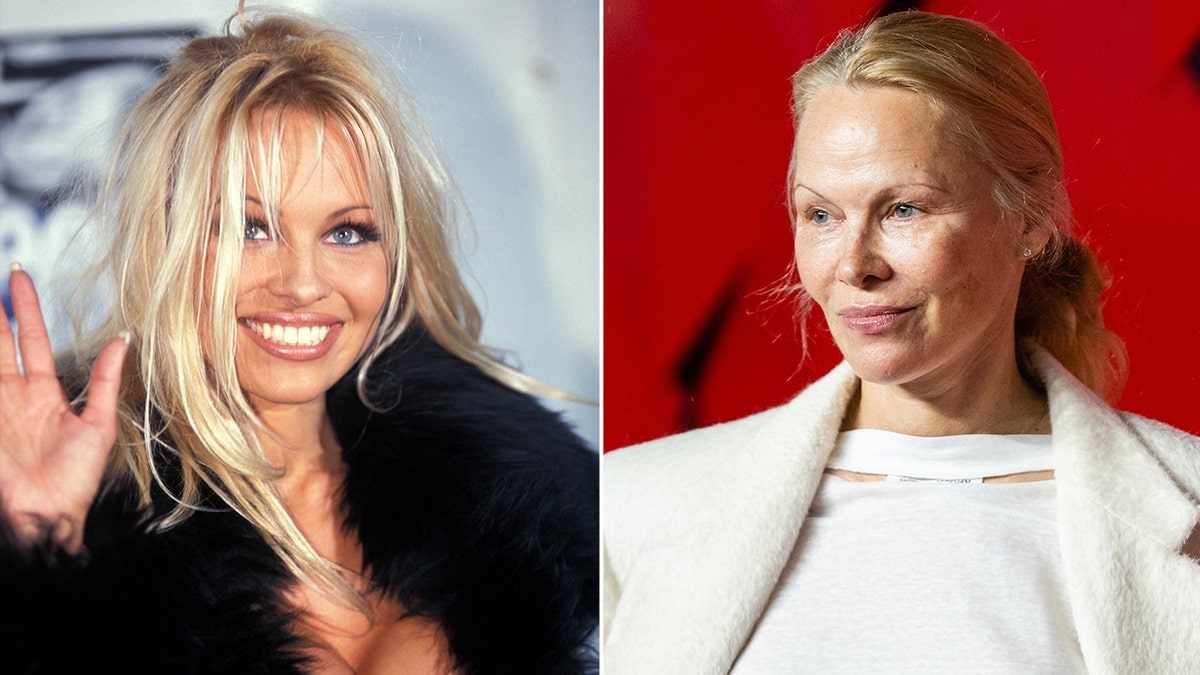Pamela Anderson then and now