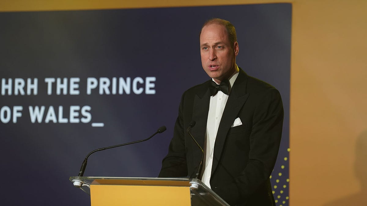Prince William at a podium delivering a speech at the Diana Awards