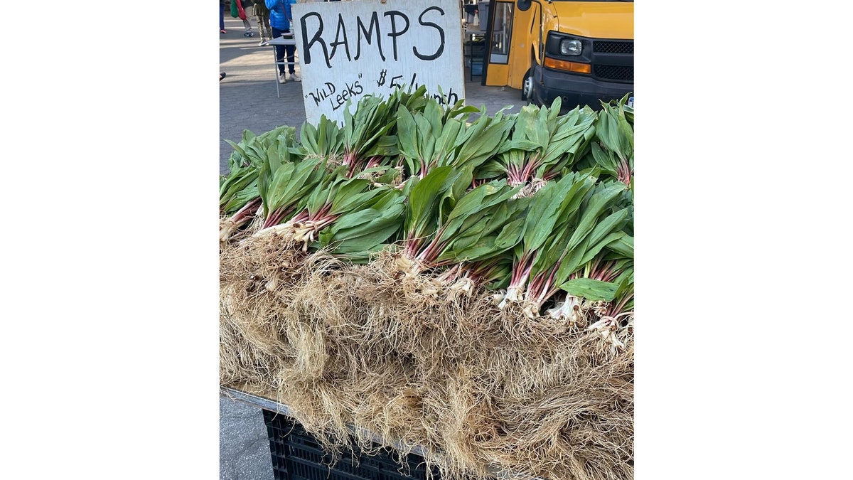 Ramps at farmer's market