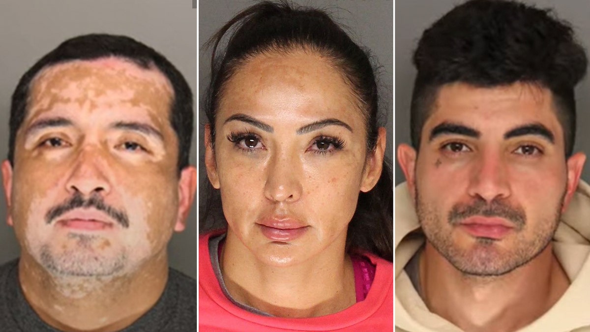 Macareno, MartinDelCampo and Rostomyan's mugshots